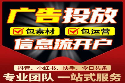 某电商平台的SEM策略与效果展示